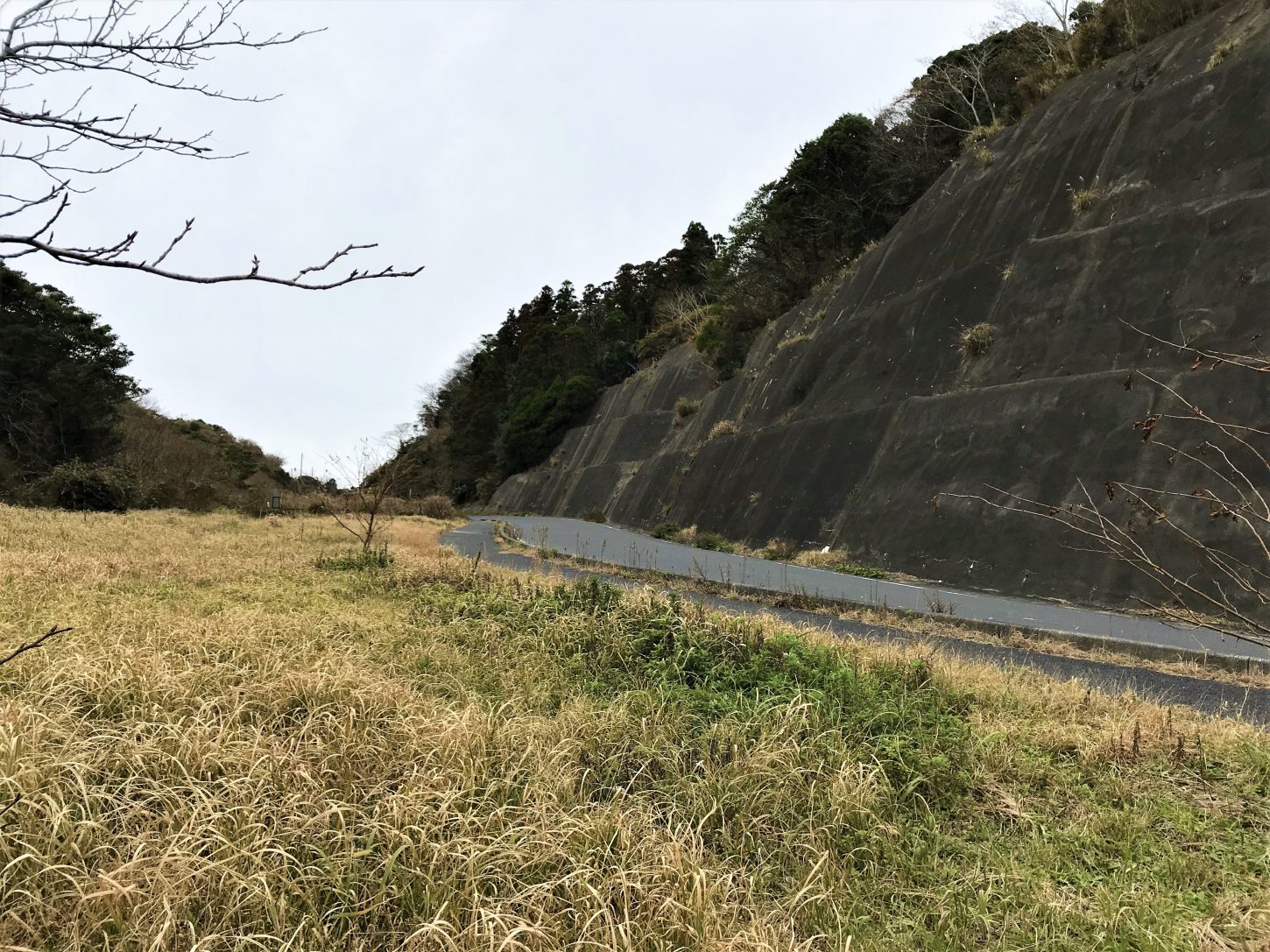 岩和田林道