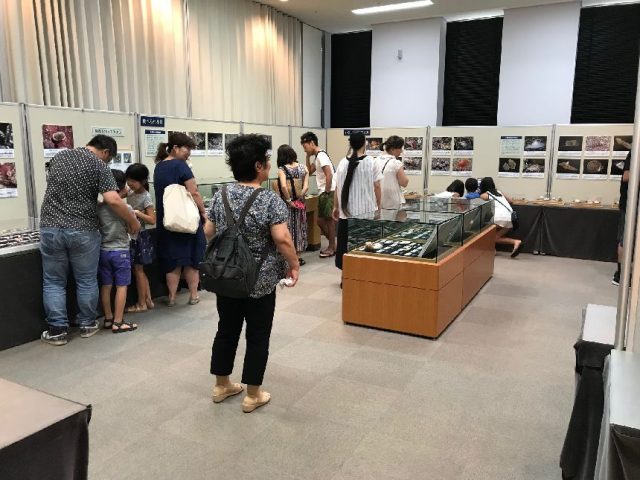 勝浦の海の博物館